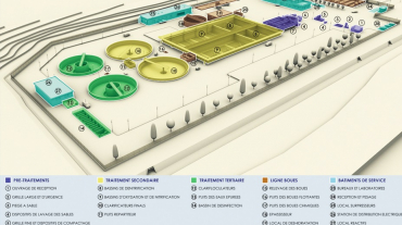 Plan of the Plant